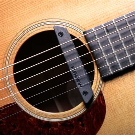 Fishman Rare Earth Magnetic Acoustic Soundhole Humbucker Pickup - Hearts' Home Acoustics