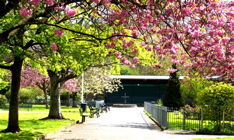 Friends of Vauxhall Park – An award-winning park in central London