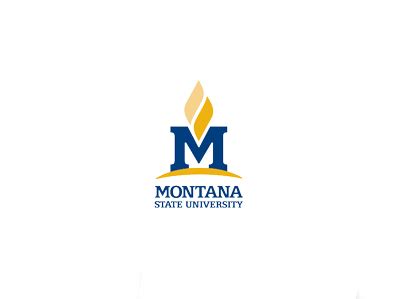 Logo use guide - Marketing | Montana State University