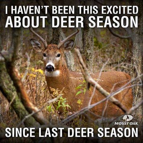 Marian's Hunting Stories, etc., etc., etc...: Deer Season Almost Here