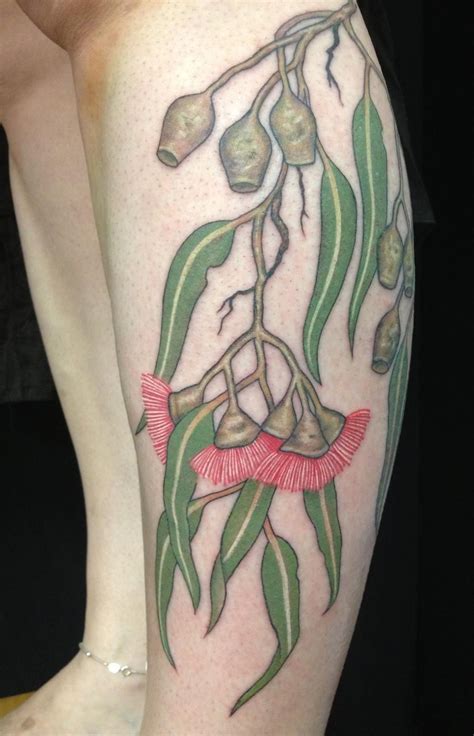 Australian Native plant botanical tattoos | Botanical tattoo, Tattoos, Plant tattoo