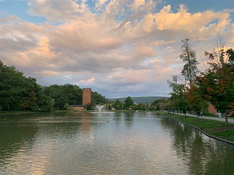 Peaceful or Stressful? Moving Back In | Penn State Altoona Collegiate ...