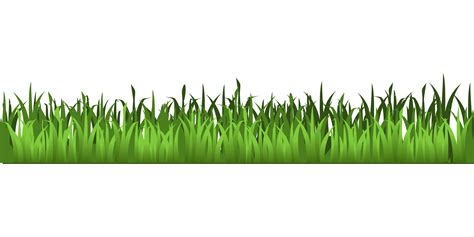 Meadow grass clipart 20 free Cliparts | Download images on Clipground 2024