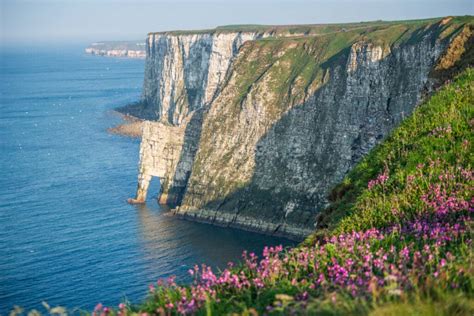 Walk: Bempton Cliffs - Welcome to Yorkshire