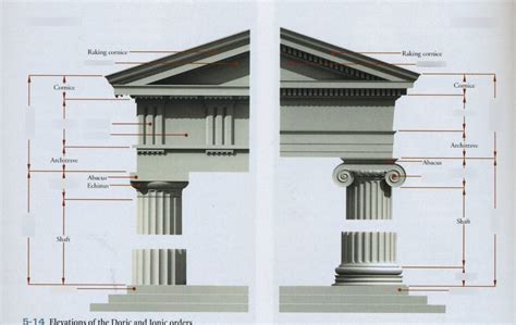 Doric vs Ionic Columns Diagram | Quizlet