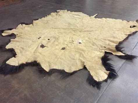 Large Buffalo Hide Robe or Rug