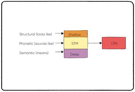 Levels of Processing Theory - Practical Psychology