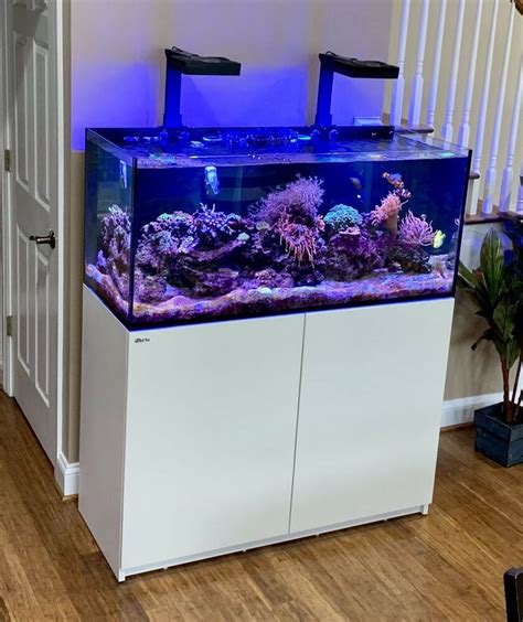 Red Sea Reefer Delux 350 (lights Included) | Sea aquarium, Red sea, Rimless aquarium