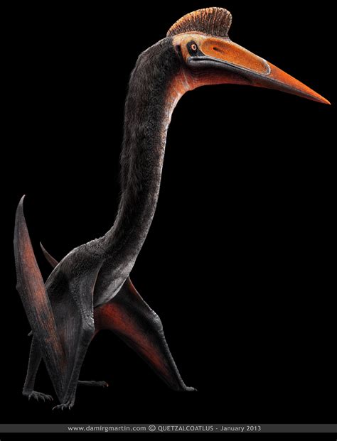 Quetzalcoatlus by damir-g-martin on DeviantArt