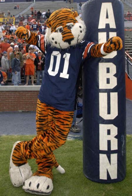 17 Best images about Aubie on Pinterest | Alabama, College football and ...