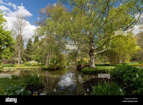 Longstock Park Water Garden, John Lewis Leckford Estate, Stockbridge ...