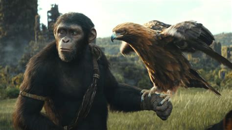 Kingdom Of The Planet of The Apes' Trailer Shows Us…