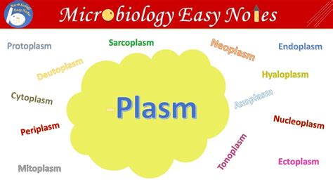 Different types of plasm in the cell like Mitoplasm, Hyaloplasm, Nucleoplasm & Deutoplasm etc ...