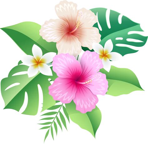 Hibiscus flowers on tropical leaf 19050940 PNG