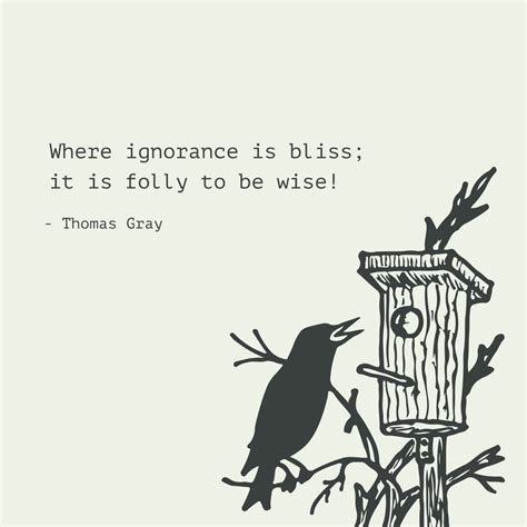 Ignorance Is Bliss Funny Quotes - ShortQuotes.cc