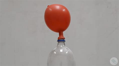 Vinegar and Baking Soda Balloon | Activity | Education.com