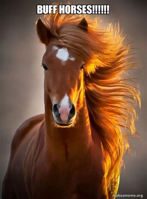 BUFF HORSES!!!!!! - Ridiculously photogenic horse Meme Generator