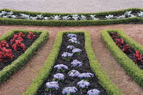 How to Choose Edging Plants for Your Landscape