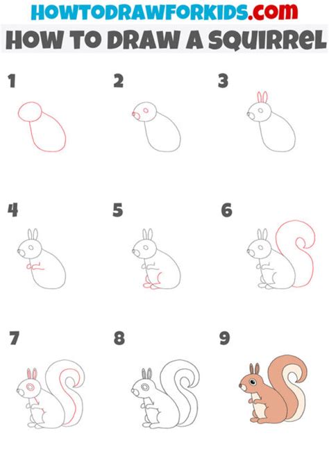 How To Draw A Squirrelstep By Step Very Easycute Squirrel Drawing For ...