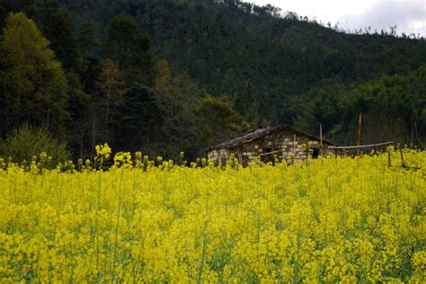 Spring in Wuyuan, China | Big On Trips