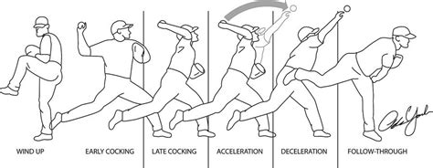 The Five Phases of Throwing a Ball