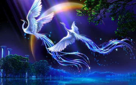 Free download Bird of Paradise HD Wallpapers Live HD Wallpaper HQ ...