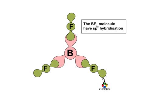 BF3 Hybridization (Explained for Beginners With Images)