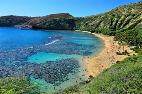 Elevated View of Hanauma Bay on O’ahu in Hawaii - Encircle Photos