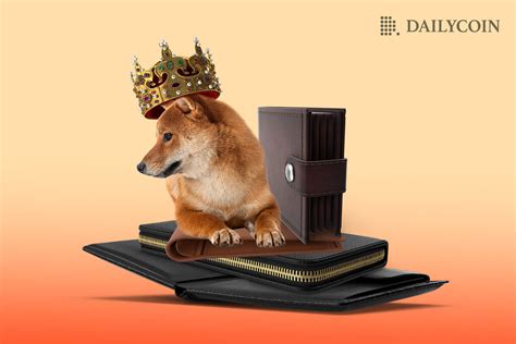 Shiba Inu (SHIB) Prevails as Top Choice Among New Crypto Wallets - DailyCoin