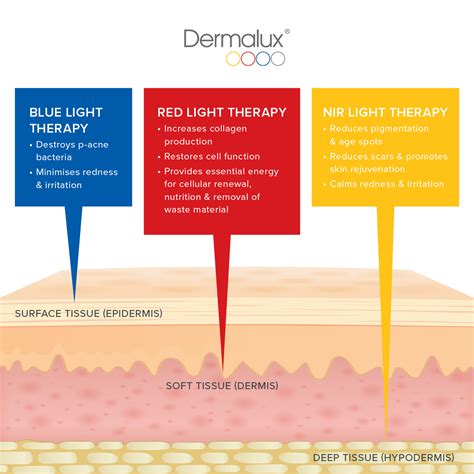 Dermalux® In-Salon LED Light Therapy – The Beautician