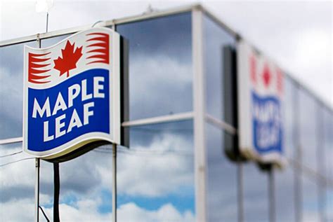 Maple Leaf releases Integrated Report on its performance in 2022