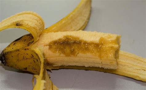 pharmalogik: Worms in banana