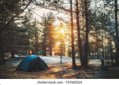 Tent Pine Forest On Sunset Stock Photo 757603525 | Shutterstock