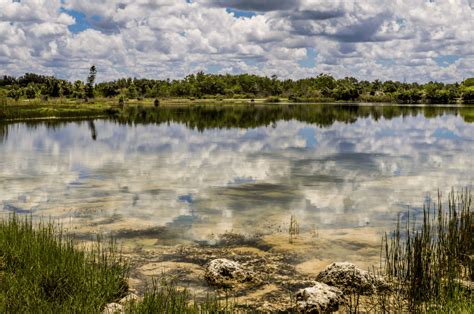 The 12 Best Tarpon Fishing Spots in Florida: Expert Guide