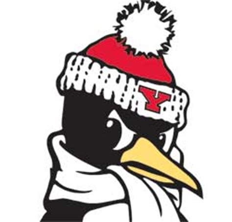 Youngstown State University Penguins vs University of Pittsburgh - WFMJ.com News weather sports ...