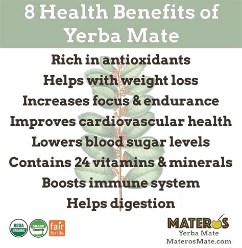 Yerba Mate Benefits