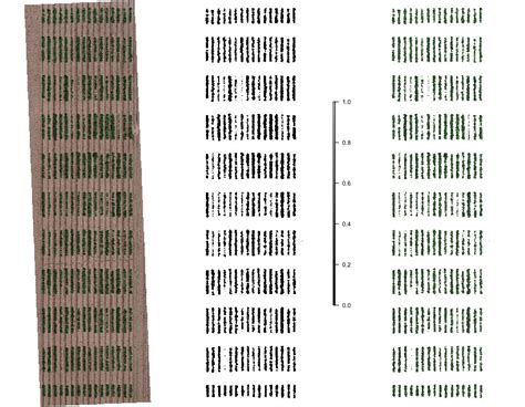 Split 1 hectare map into a 1000 x 10m2 grid and export individual ...