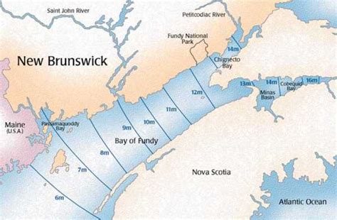 Bay of Fundy Regional Map