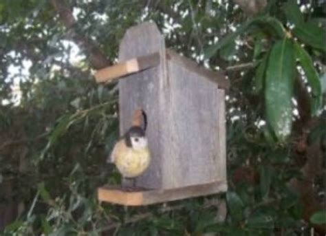 Goldfinch Birdhouse Plans Free - House Design Ideas