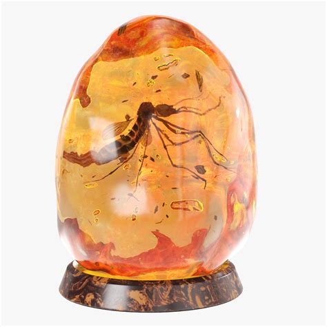 Amber mosquito fossil 3D model | CGTrader