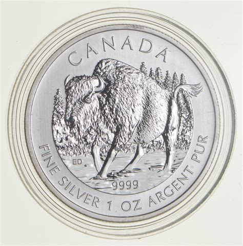 2013 Canada 5 Dollars 1 Oz Silver Coin .999 Fine - Rare | Property Room