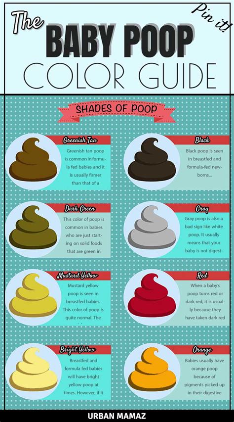 color of your poop chart stool color changes and chart what does it - textures of poop and what ...