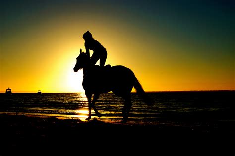 Free Images : beach, sea, silhouette, sunrise, sunset, morning, boy, dawn, dusk, evening, horse ...