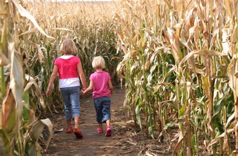 Corn Maze Near Me—Best Corn Mazes in Every State - Parade