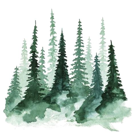 Forest PNG Transparent Images - PNG All