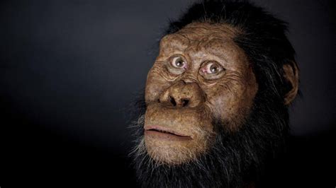 Facial reconstruction of fossilised skull of Lucy’s ancestor | KidsNews