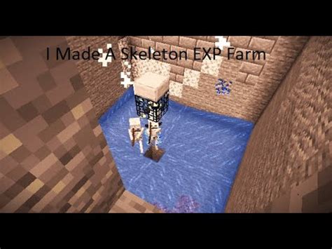 I Made A Skeleton EXP Farm 😁 - YouTube