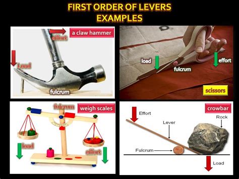 PPT - Three types of lever PowerPoint Presentation, free download - ID:2451217