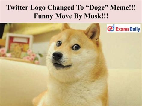 Twitter Logo Changed To “Doge” Meme!!! Funny Move By Musk!!!