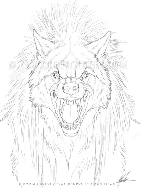 Werewolf Face Drawing at GetDrawings | Free download